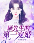 顾先生的第一宠婚 丰家小七
