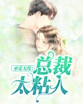 承爱无度:总裁太粘人