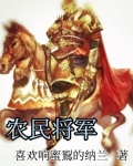 农民将军