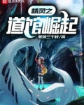 精灵之道馆崛起 小说