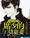 闪婚席少宠妻