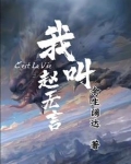 我是赵无极小说