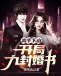 高手下山:开局九封婚书