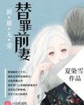 新婚无爱,替罪前妻