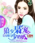 狼少枭宠少奶奶