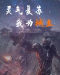 灵气复苏我为城主