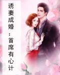 诱妻成婚：首席有心计