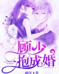 顾少一抱成婚