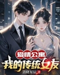 爱情公寓:我的传统女友小说