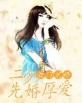 豪门宠婚：二少，先婚厚爱