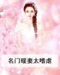 名门暖婚战少宠妻