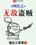 网游之无敌盗贼百度云