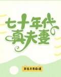 七十年代真夫妻