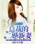 婚然天成总裁的二婚新妻txt