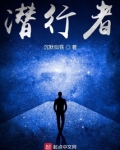 潜行者电视剧剧情介绍