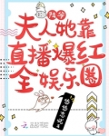 陆爷,夫人她靠直播爆红全娱乐圈