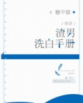 渣男洗白手册是什么文