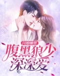 闪婚缠情:腹黑狼少深深爱