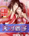 天才痞子 小说