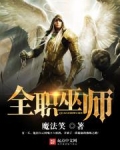 全职魔法师 问鼎