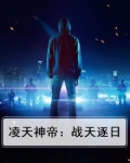 凌天神帝：战天逐日