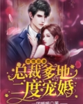 燃婚前妻:高冷总裁