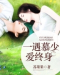 一遇慕少爱终身