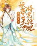 凰倾天下：妖孽王爷的娇宠狂妃