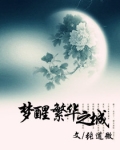 梦醒繁华之城