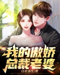 我的傲娇总裁老婆罗飞全文免费阅读