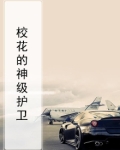 校花守护神
