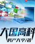大国高科