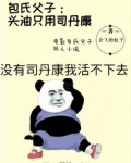 包氏父子:头油只用司丹康
