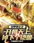 铠甲勇士之开局天上掉下个铠兽