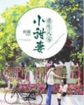 重生八零小甜妻