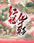 红楼华彩
