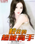 校花的超能高手