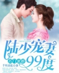 陆少宠妻99度