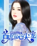 燃情霸爱:首席的心尖宠