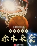 灌篮高手4号赤木