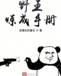 野王炼成手册