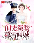 时光微暖,暮雪倾城