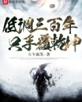 低调三百年，只手覆乾坤