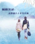 杨明实录：从穿越八十年代开始