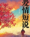 短句故事的视频素材