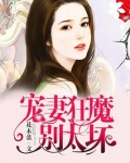 宠妻狂魔别太坏