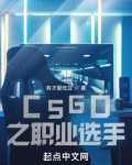 CSGO之职业选手