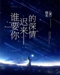 谁要你迟来的深情小说