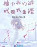 林小北的游戏赚钱生涯