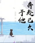 予他奔赴已久